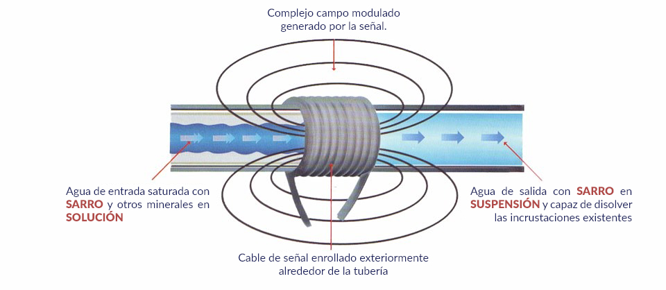 Cómo funciona Scalewatcher